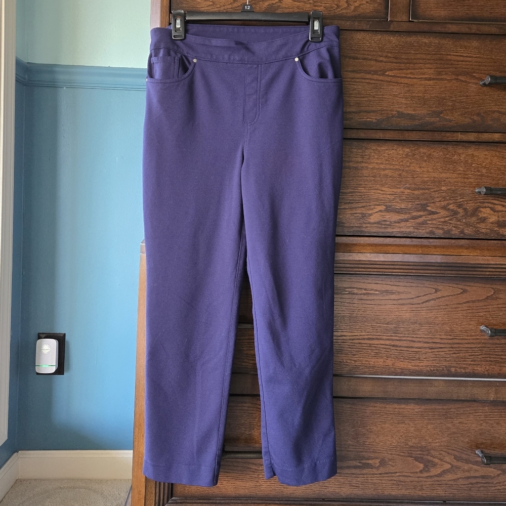 Chico's Ankle Navy Pants Sz 10